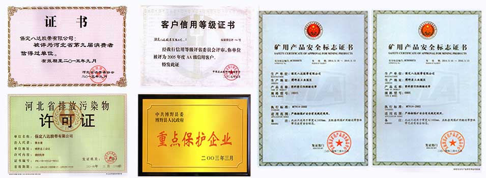 八達橡膠輸送帶企業(yè)榮譽